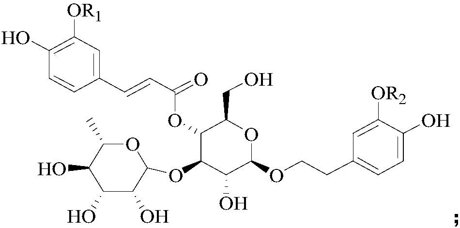 Application of phenylpropanoid glycosides in preparation of IDO (indoleamine-2,3-dioxygenase) inhibitors