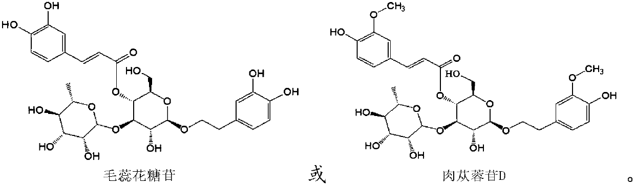 Application of phenylpropanoid glycosides in preparation of IDO (indoleamine-2,3-dioxygenase) inhibitors