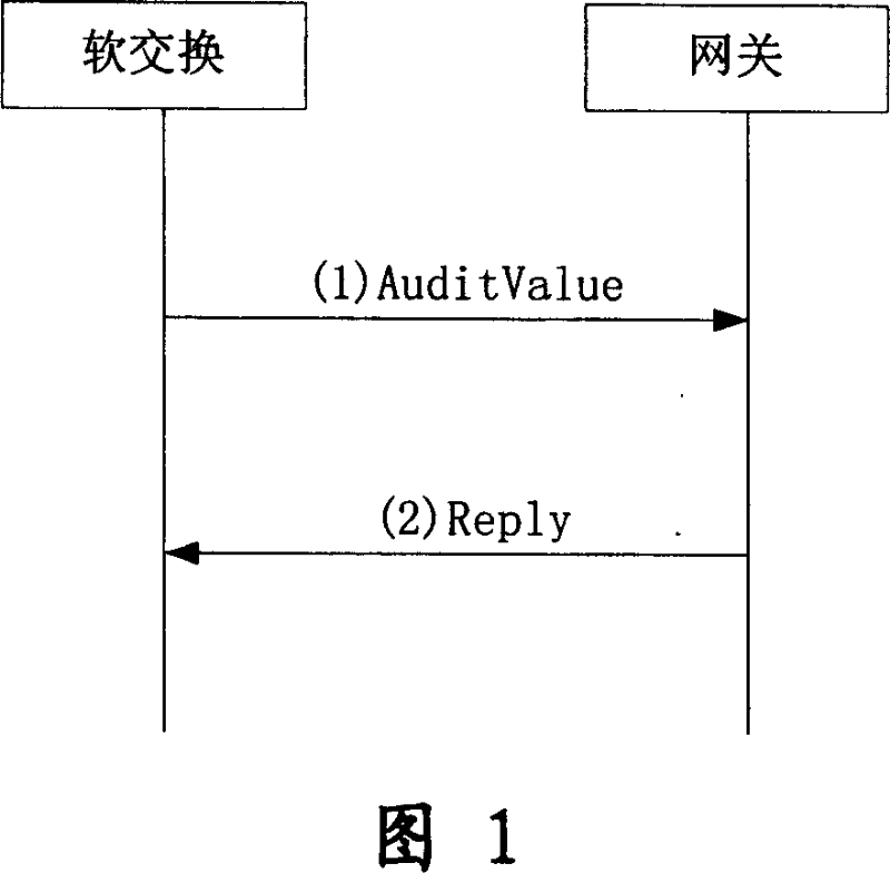 Implementing method for network entity to separately independent control protocol heart-beat