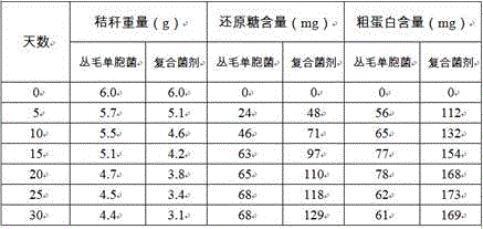 Composite microbial agent capable of degrading agricultural wastes