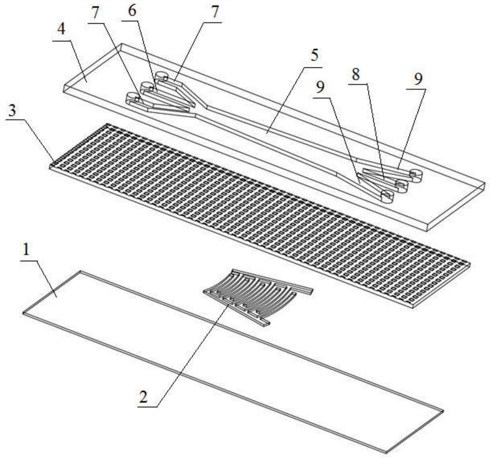 A large-throughput cell acoustic sorting chip