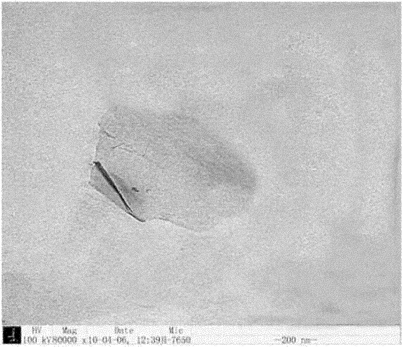 Method for preparing graphite oxide/macromolecular water-based cold rolling lubricating additive