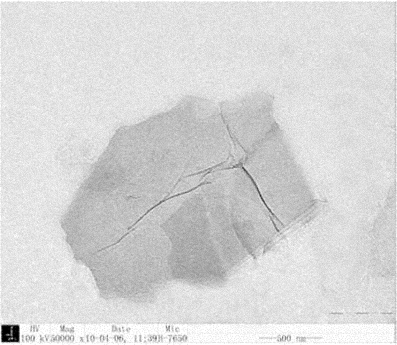 Method for preparing graphite oxide/macromolecular water-based cold rolling lubricating additive