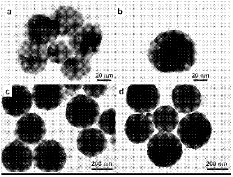 Method for detecting microcystin in water