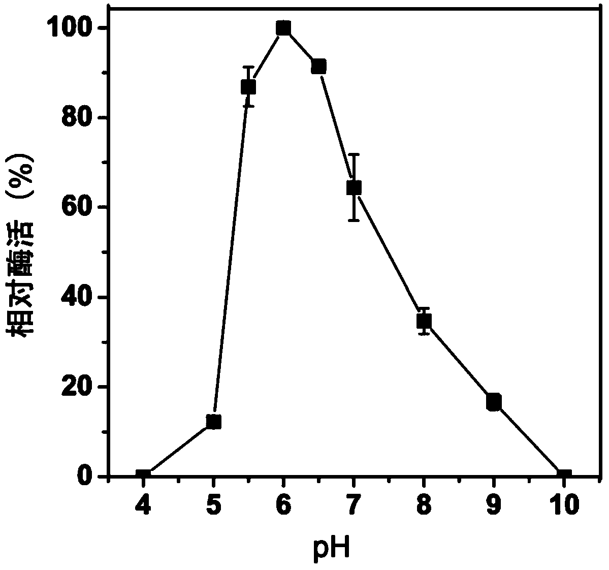 Alpha-amylase Amy ASS and application of alpha-amylase Amy Ass in raw starch degradation