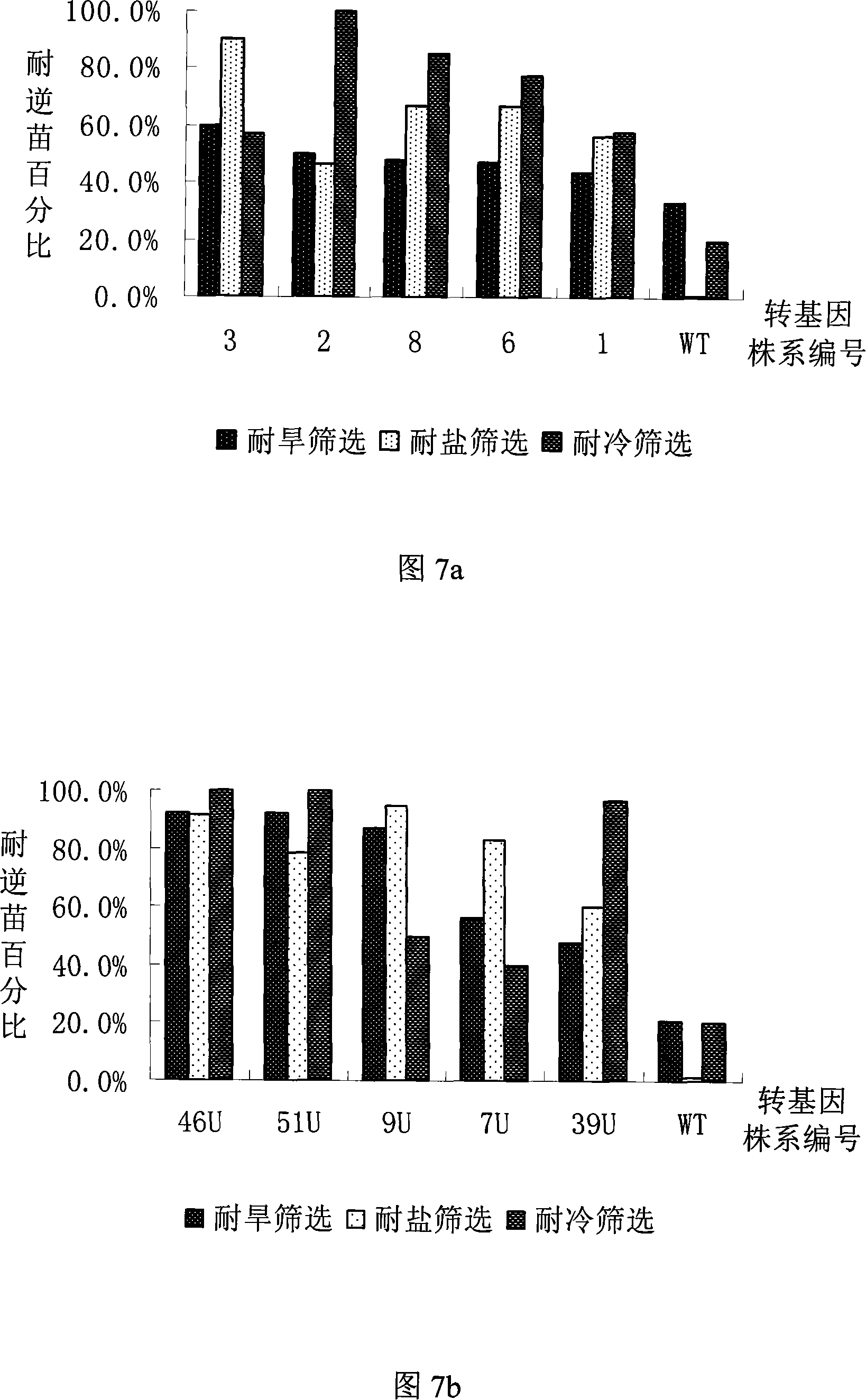 Clone and application of rice trehalose synthase gene related with adversity resistance