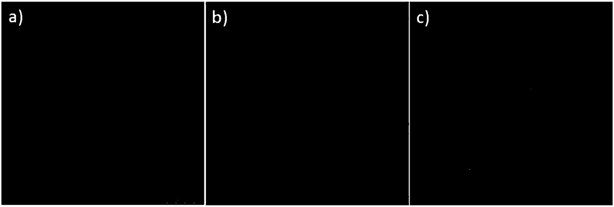 Nanometer composite material and applications of nanometer composite material in tracing of lymph nodes