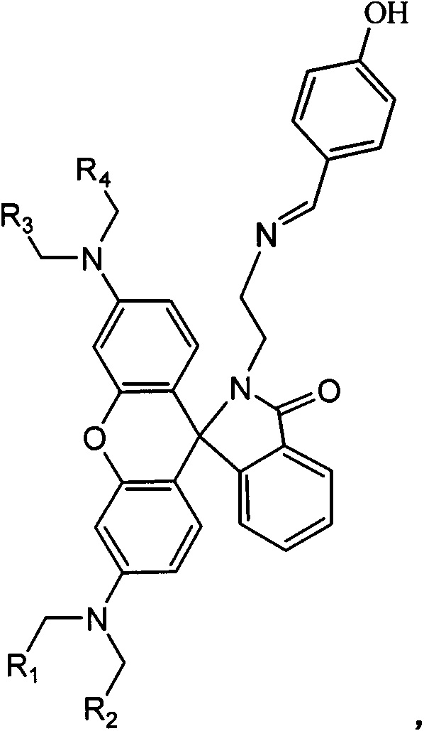 Rhodamine-containing lactam group micromolecule pH fluorescent probe and synthetic method