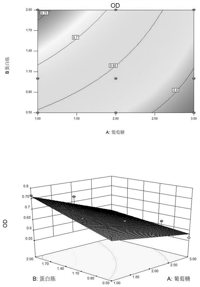 Enterococcus faecalis and application thereof