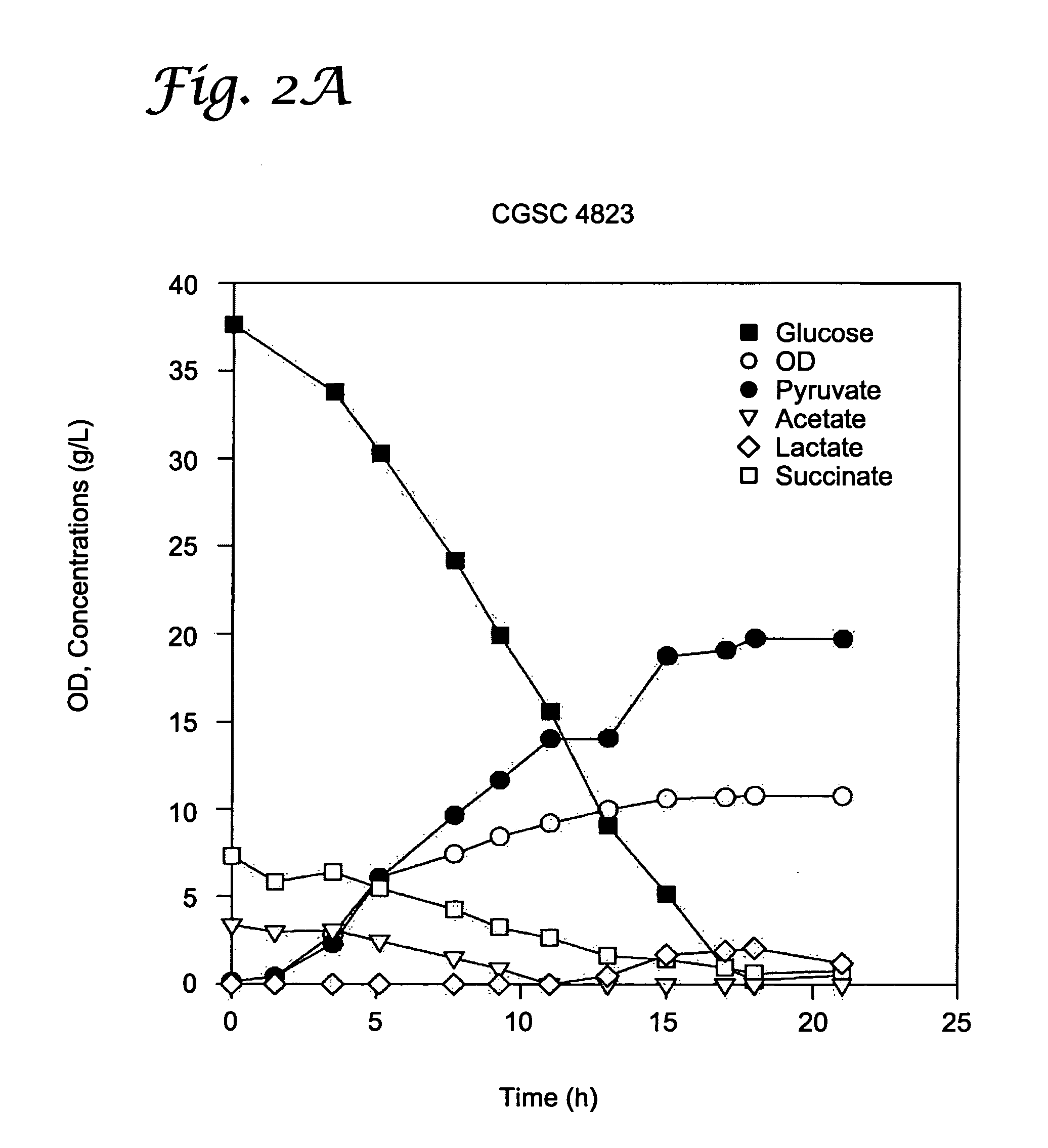 Microbial production of pyruvate and other metabolites