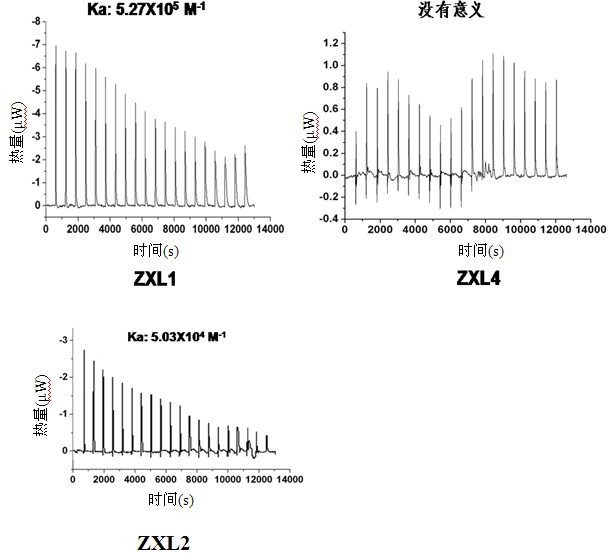 Mycobacterium tuberculosis surface lipolysaccharide-antistatic nucleic acid aptamer and application thereof