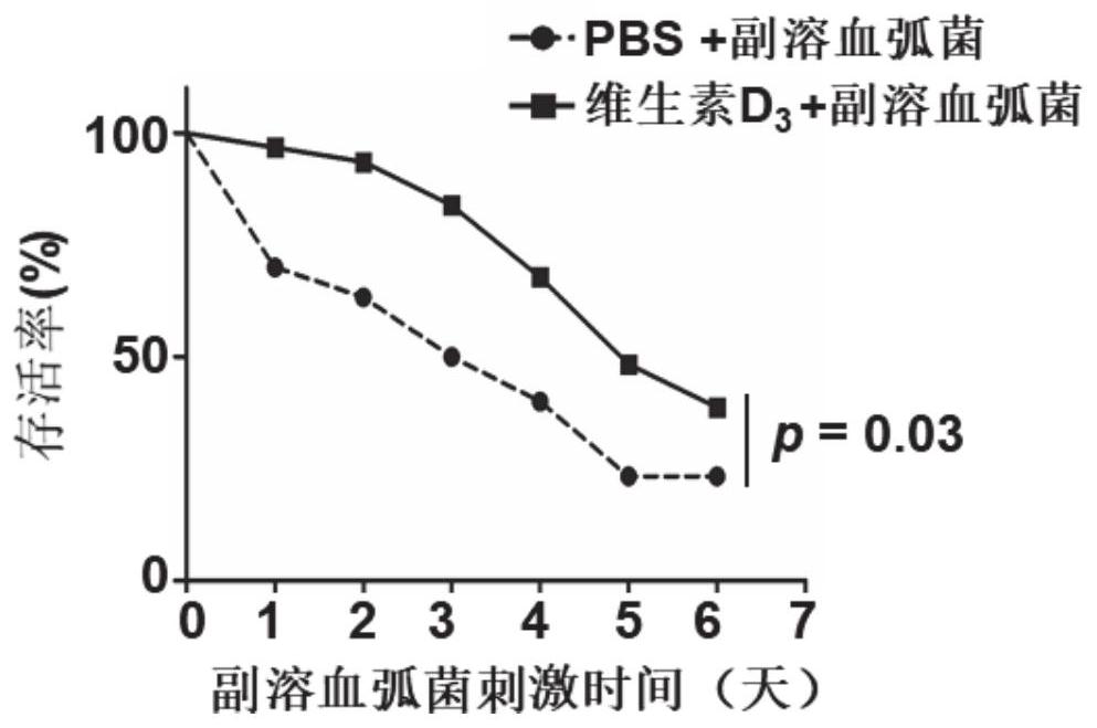 Application of vitamin d3 in aquaculture