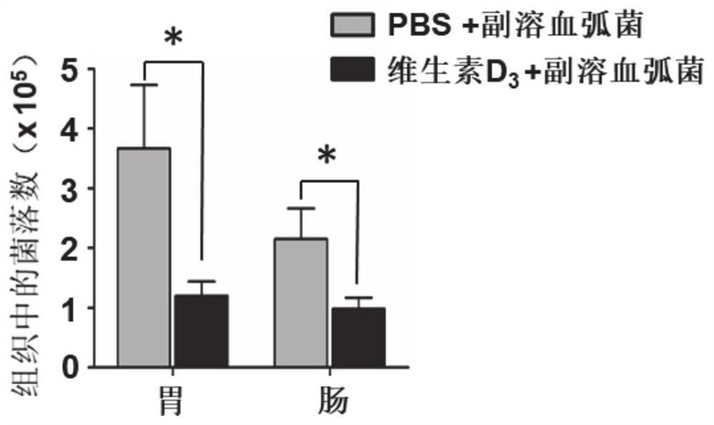 Application of vitamin d3 in aquaculture