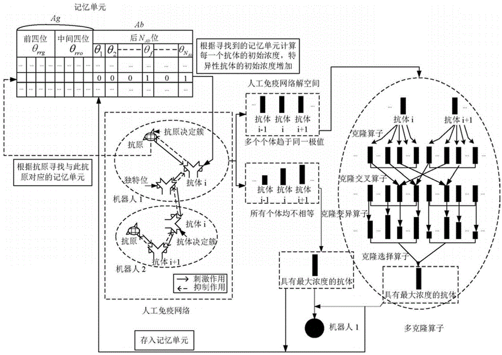 Polyclonal artificial immune network algorithm for multi-robot dynamic path planning