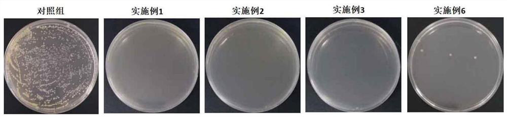 Multifunctional mesoporous biological material, preparation method and application