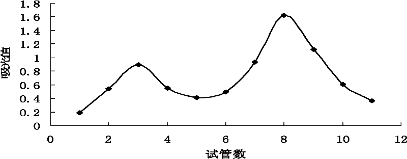 Radial flow chromatography for polysaccharides of mushroom hyphae