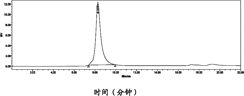 Radial flow chromatography for polysaccharides of mushroom hyphae