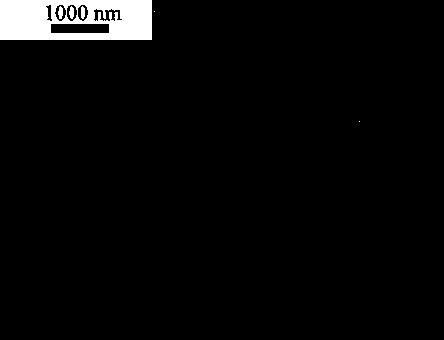 Molybdate and preparation method thereof