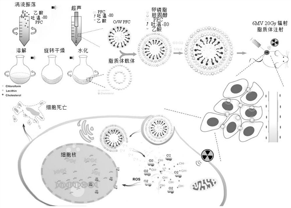 Delivery system based on nano-liposome, preparation method and application thereof