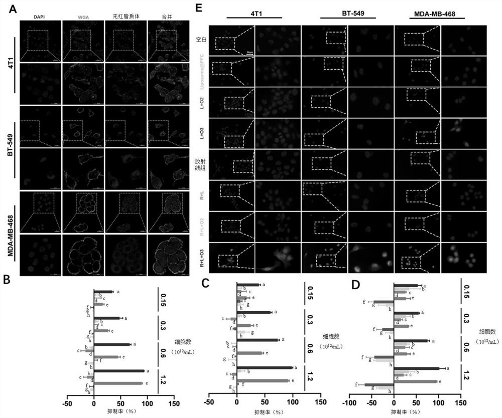 Delivery system based on nano-liposome, preparation method and application thereof