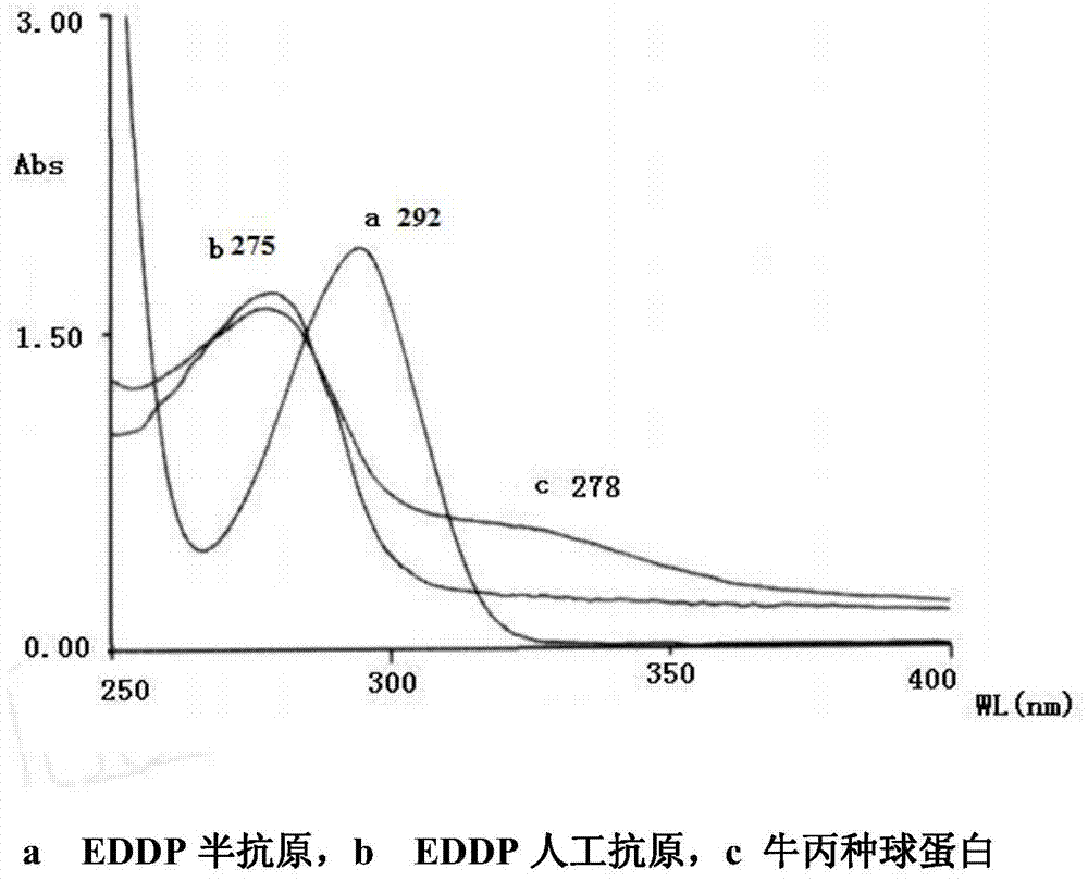 A kind of preparation method of eddp artificial antigen