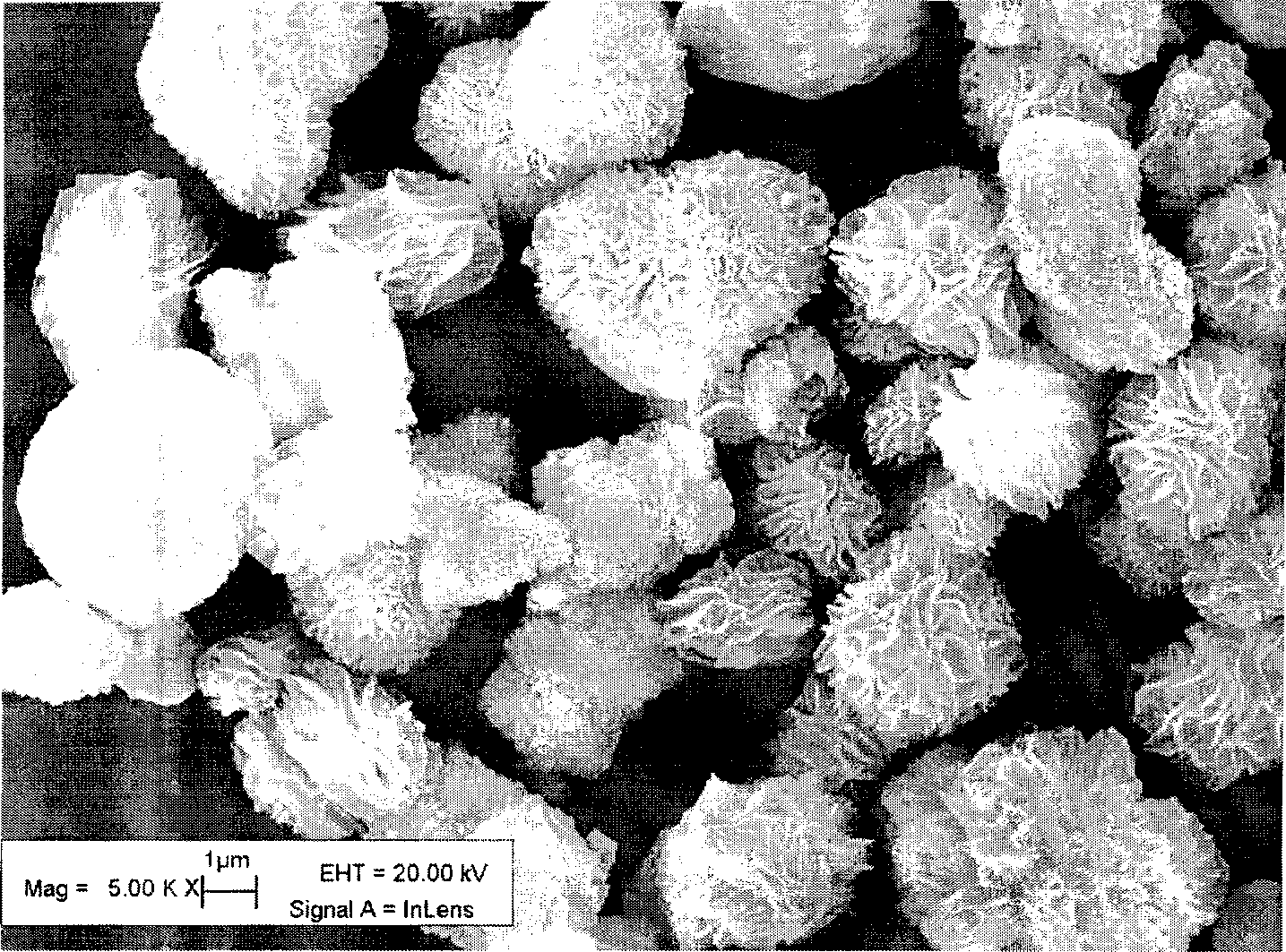 Process for producing flower shaped indium hydroxide powder having high specific surface area