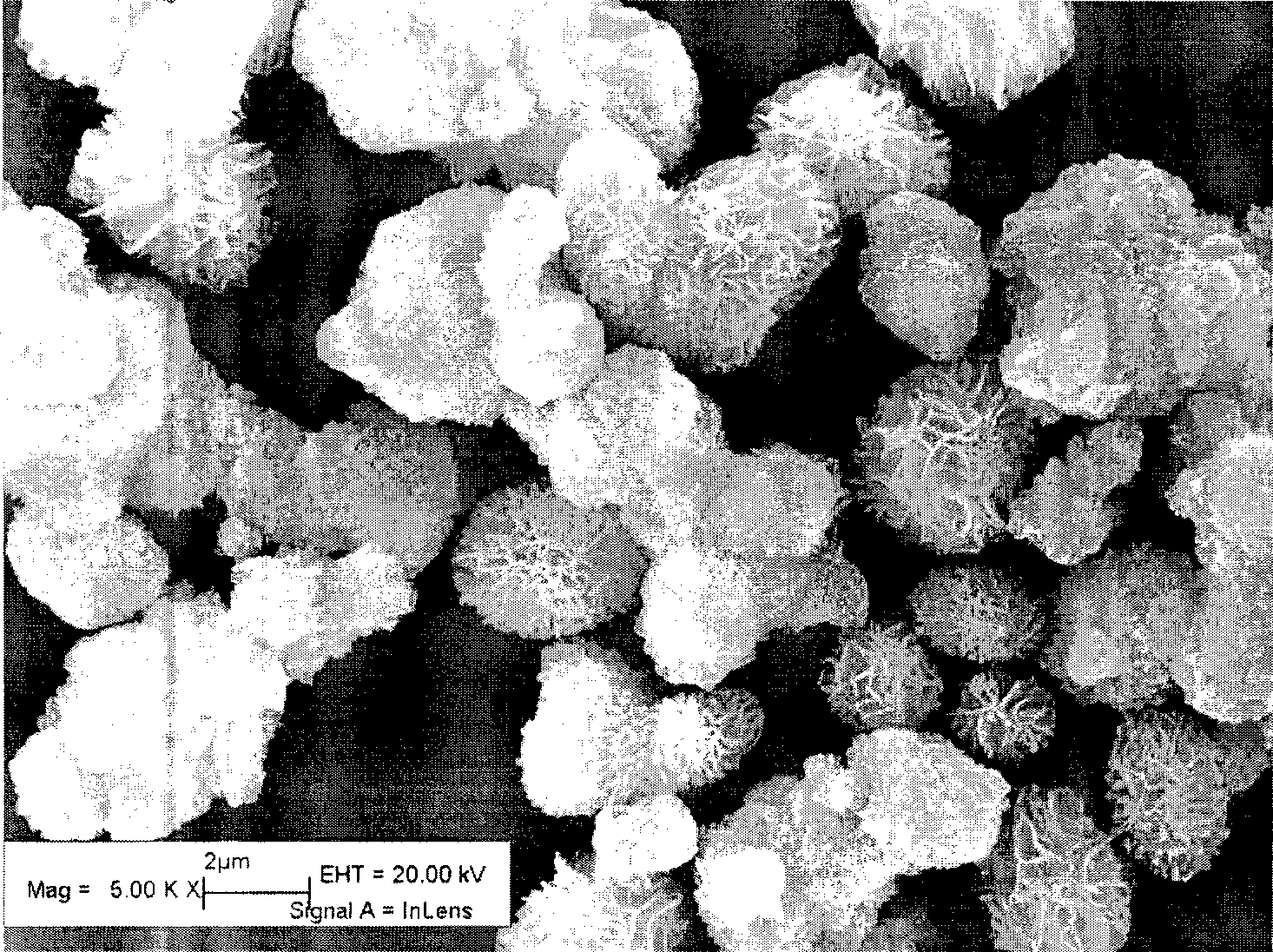 Process for producing flower shaped indium hydroxide powder having high specific surface area