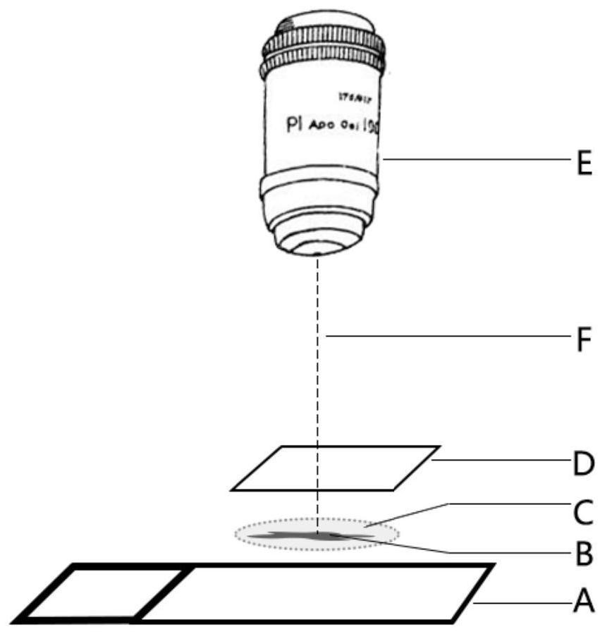 Focusing method and system