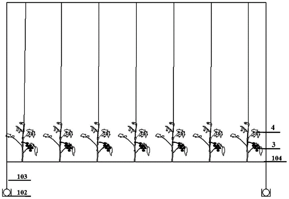 Movable cultivation device and multi-stage cultivation method for fruits and vegetables suitable for solar greenhouse