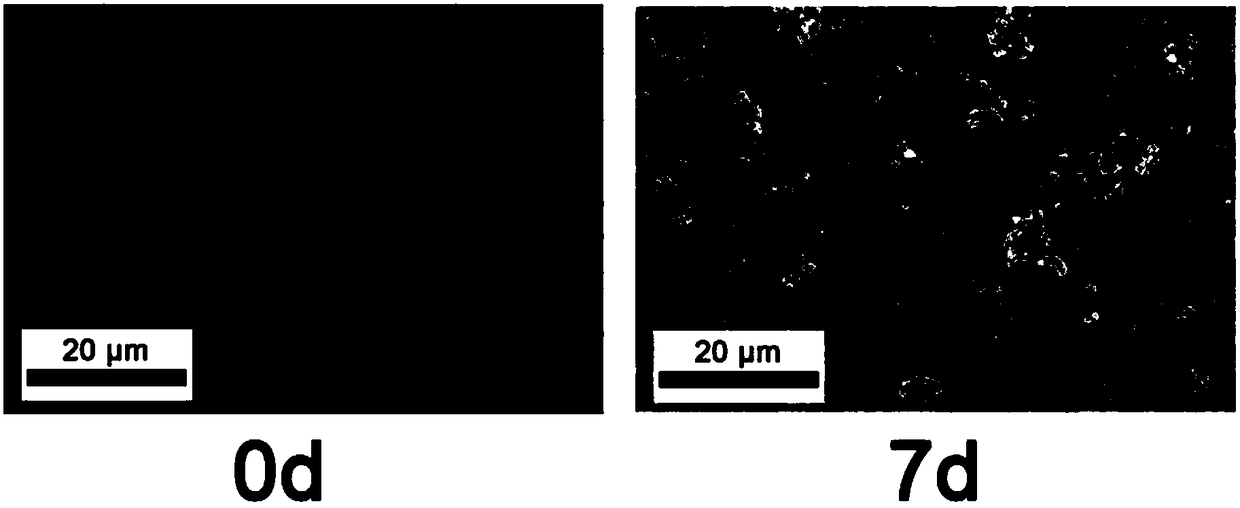 Liquid-phase mineralizing precursor and method of repairing demineralized dentine