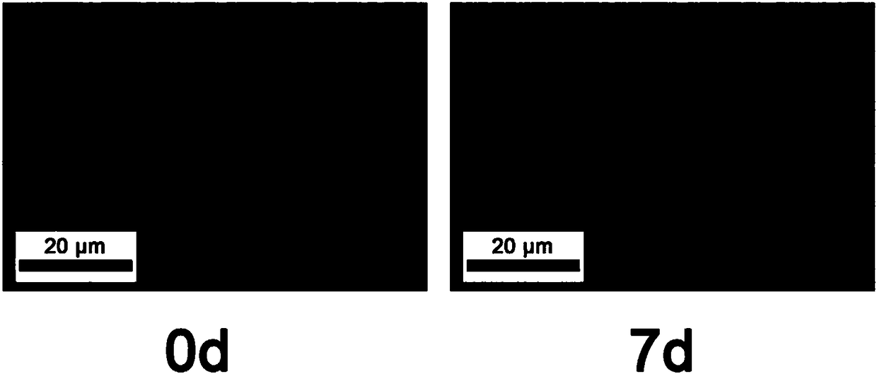 Liquid-phase mineralizing precursor and method of repairing demineralized dentine