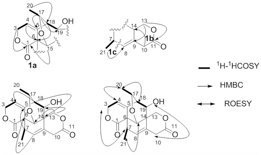 A kind of swertirolactone compound and its preparation method, preparation and application