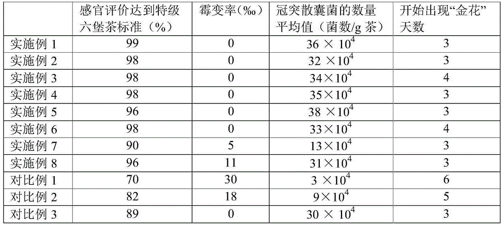 Eurotium cristatum Liupao tea standardization production process