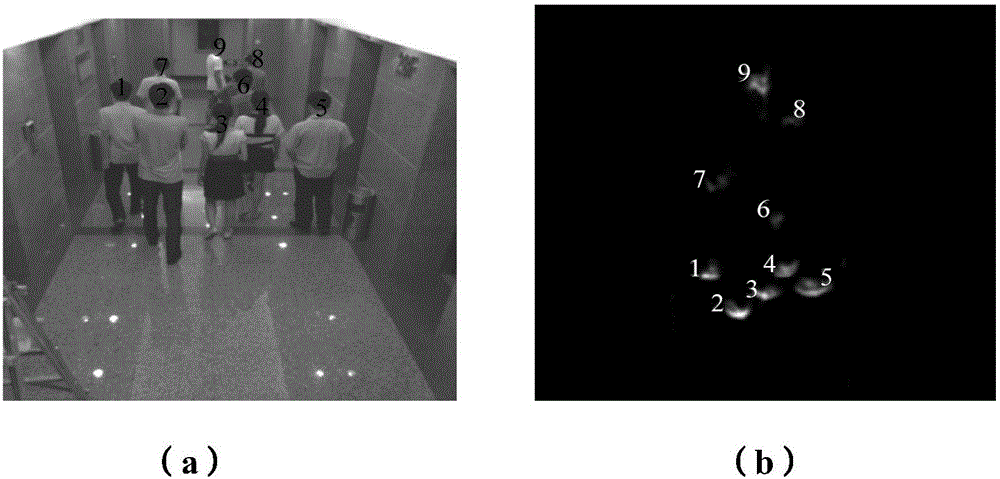 Object quantity estimation method and device