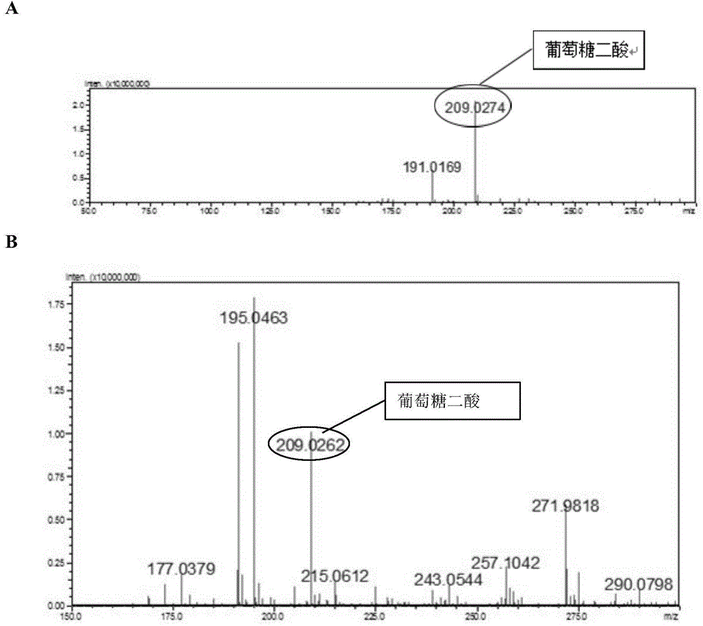 Method for producing glucaric acid by constructing recombinant yeast fermentation