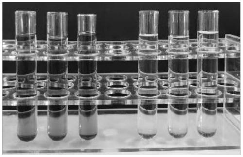 Stable dextromethorphan hydrobromide, chlorphenamine maleate and ammonium chloride oral solution and preparation method thereof