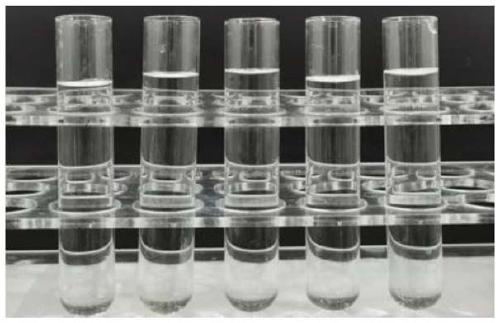 Stable dextromethorphan hydrobromide, chlorphenamine maleate and ammonium chloride oral solution and preparation method thereof