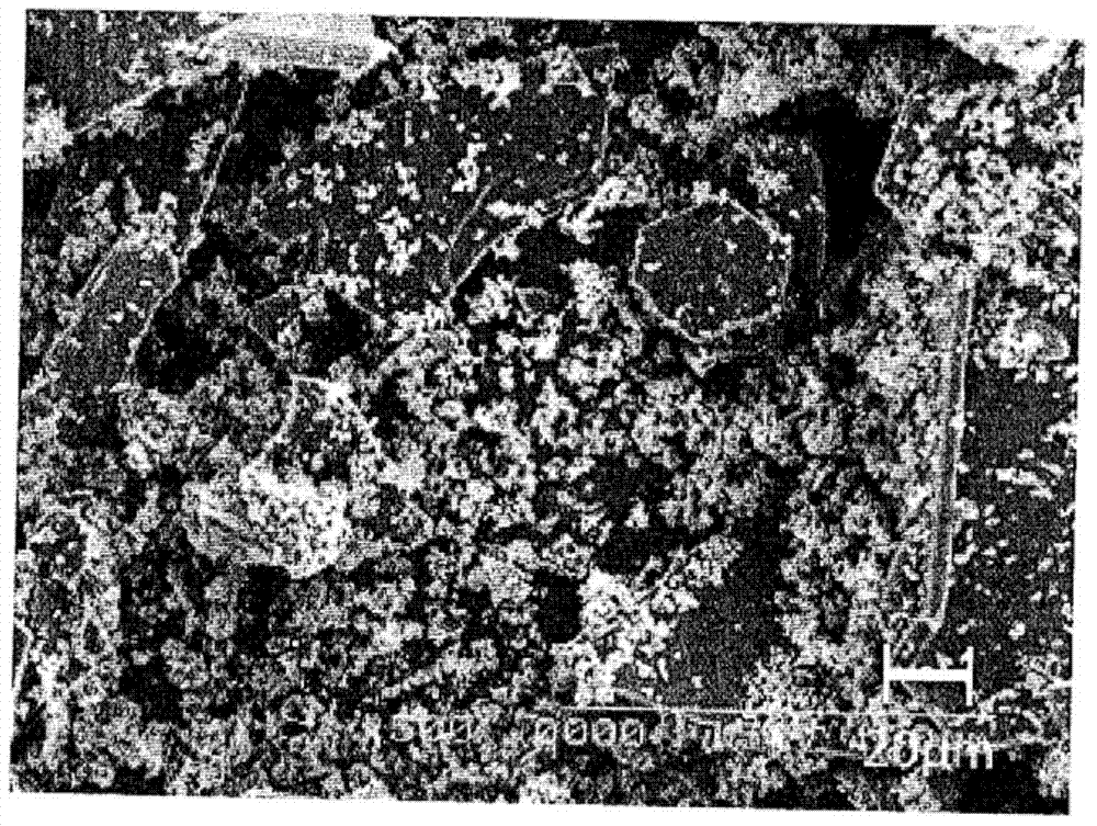 Spherical crystalline silicon carbide powder and method for manufacturing same