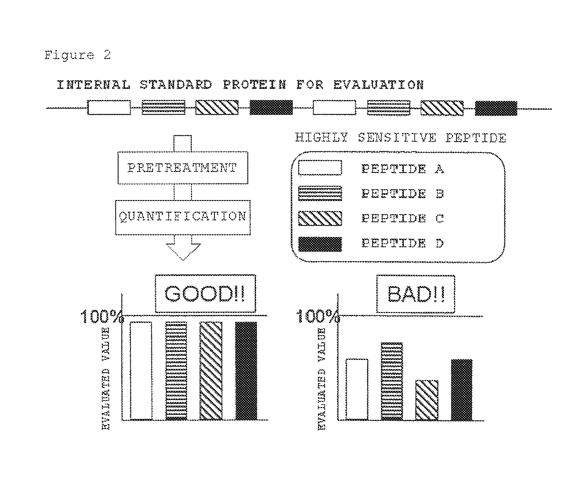 Evaluation peptide for use in quantification of protein using mass spectrometer, artificial standard protein, and method for quantifying protein