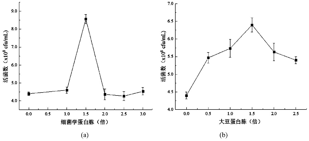 Lactobacillus delbrueckii and preparation method and application of direct-to-vat lactobacillus delbrueckii fermenting agent