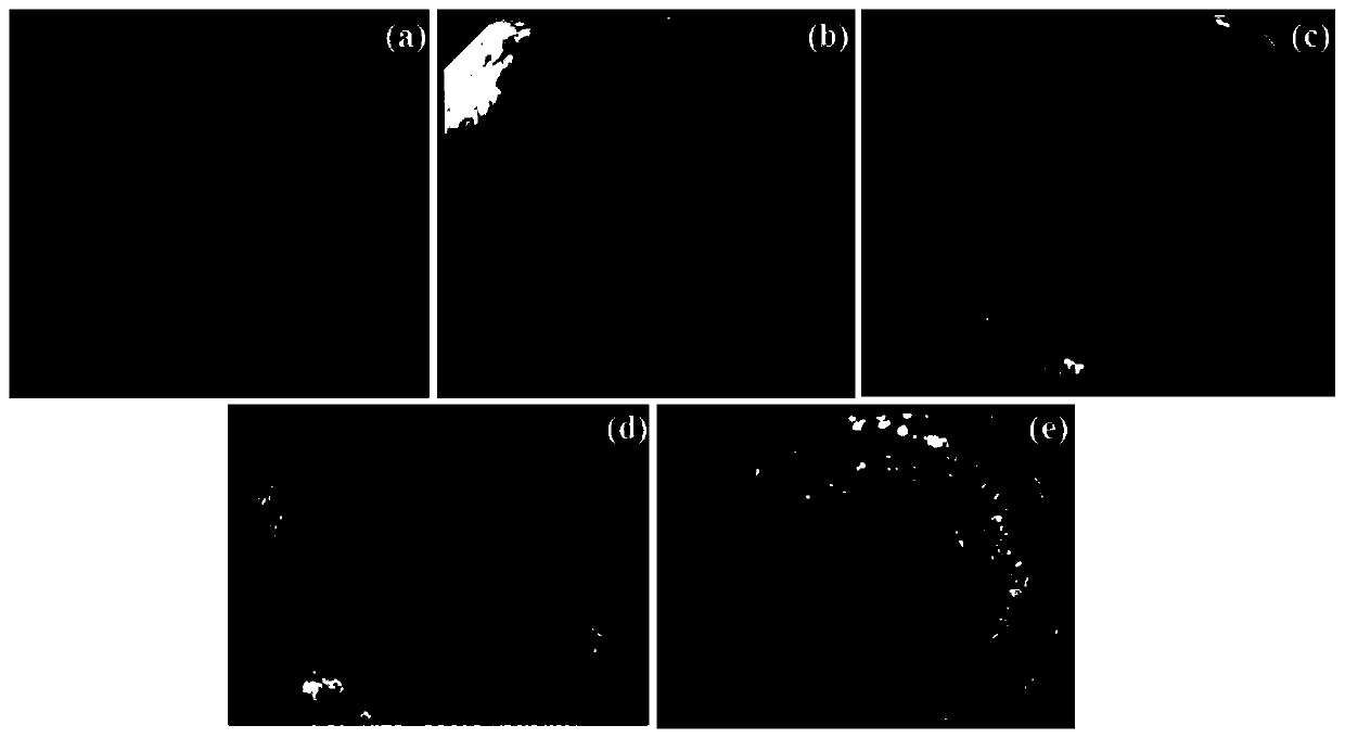 Staining agent for early diagnosis of esophageal cancer and preparation method of staining agent