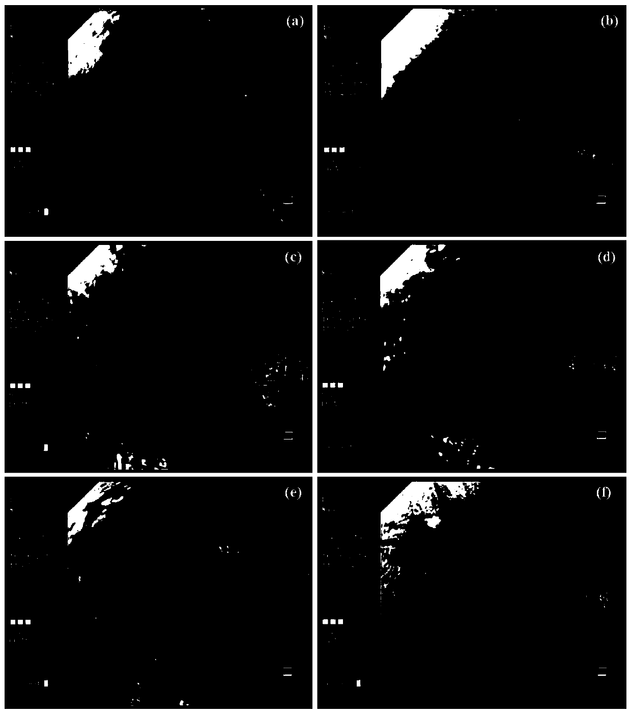 Staining agent for early diagnosis of esophageal cancer and preparation method of staining agent