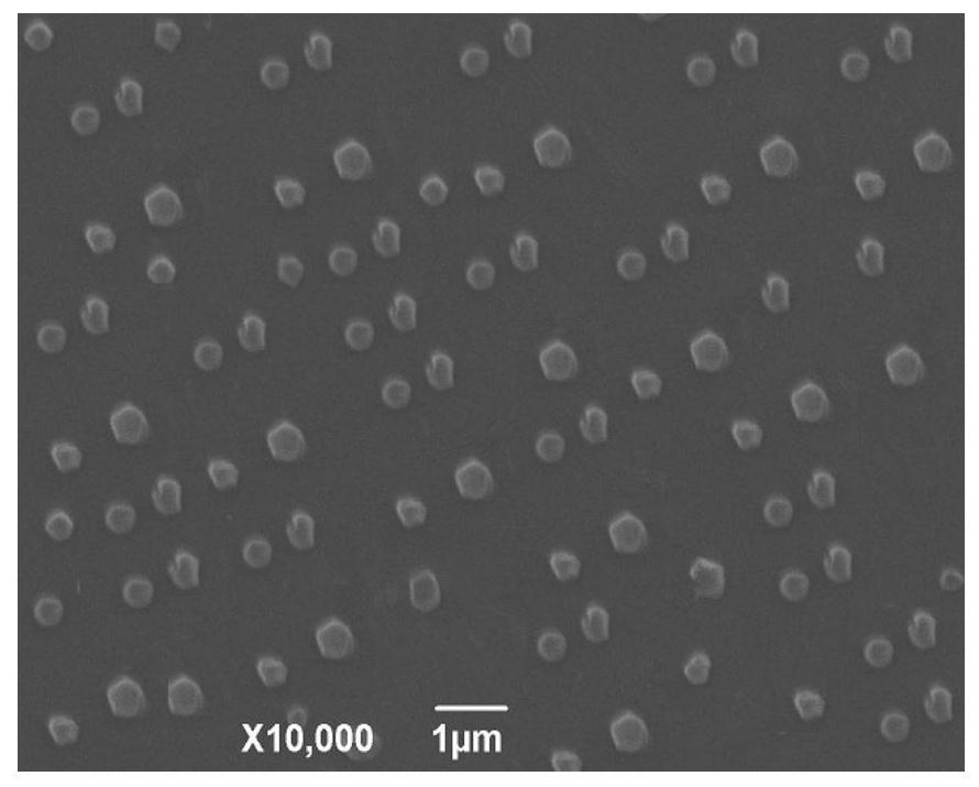 Veterinary enrofloxacin solid lipid nanosuspension and preparation method thereof