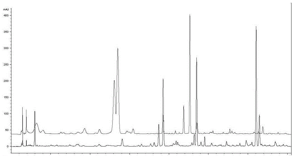 Alpine gentian herb HPLC detection method