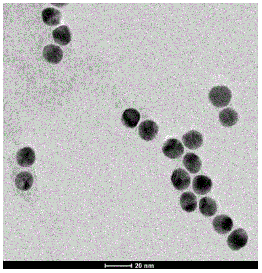 A nano-gold based molecular beacon and its preparation and application