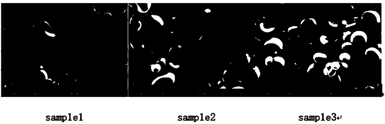 Preparation method of spherical lithium titanate material