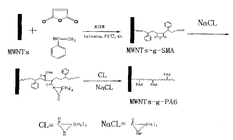 Preparation method of nylon-6 grafting modified carbon nano tubes