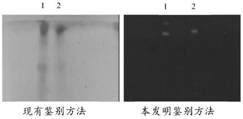 A method for identifying hibiscus bark in a compound traditional Chinese medicine