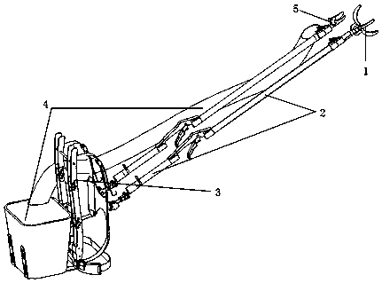 Wearable fruit picking assistance device