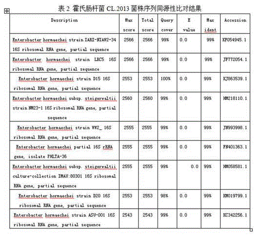 Enterobacter hormaechei CL2013 as well as method for preparing hexavalent chromium restoring bactericide